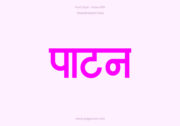 Patan Hindi Text PNG Pink