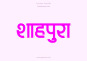 Home 7 Shahpura Hindi Text PNG Pink