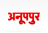 anuppur Hindi Text PNG Download Free, anuppur, anuppur hindi mein, anuppur hindi mein kaise likhen,