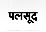 palsud Hindi Text PNG Download Free, palsud, palsud hindi mein, palsud hindi mein kaise likhen,