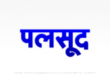 palsud Hindi Text PNG Download Free, palsud, palsud hindi mein, palsud hindi mein kaise likhen,