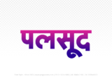 palsud Hindi Text PNG Download Free, palsud, palsud hindi mein, palsud hindi mein kaise likhen,