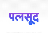 palsud Hindi Text PNG Download Free, palsud, palsud hindi mein, palsud hindi mein kaise likhen,