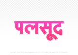palsud Hindi Text PNG Download Free, palsud, palsud hindi mein, palsud hindi mein kaise likhen,
