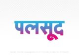 palsud Hindi Text PNG Download Free, palsud, palsud hindi mein, palsud hindi mein kaise likhen,