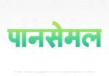 pansemal Hindi Text PNG Download Free, pansemal, pansemal hindi mein, pansemal hindi mein kaise likhen,