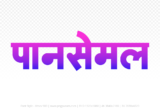 pansemal Hindi Text PNG Download Free, pansemal, pansemal hindi mein, pansemal hindi mein kaise likhen,