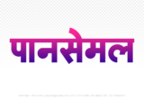 pansemal Hindi Text PNG Download Free, pansemal, pansemal hindi mein, pansemal hindi mein kaise likhen,