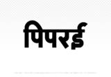 piprai Hindi Text PNG Download Free, piprai, piprai hindi mein, piprai hindi mein kaise likhen,