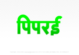 piprai Hindi Text PNG Download Free, piprai, piprai hindi mein, piprai hindi mein kaise likhen,