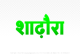 shadora Hindi Text PNG Download Free, shadora, shadora hindi mein, shadora hindi mein kaise likhen,