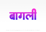 bagli Hindi Text PNG, bagli png, bagli hindi png logo,