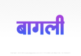 bagli Hindi Text PNG, bagli png, bagli hindi png logo,