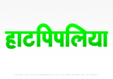 hatpipliya Hindi Text PNG, hatpipliya png, hatpipliya hindi png logo,
