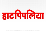 hatpipliya Hindi Text PNG, hatpipliya png, hatpipliya hindi png logo,