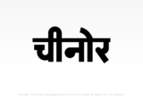 chinor Hindi Text PNG, chinor text png, chinor hindi png logo,