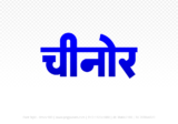 chinor Hindi Text PNG, chinor text png, chinor hindi png logo,