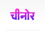 chinor Hindi Text PNG, chinor text png, chinor hindi png logo,