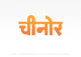 chinor Hindi Text PNG, chinor text png, chinor hindi png logo,