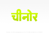chinor Hindi Text PNG, chinor text png, chinor hindi png logo,